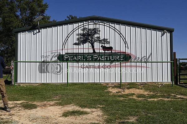 Pearl's Pasture Cattle Co.