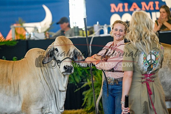 2024 Miami International Cattle Show
