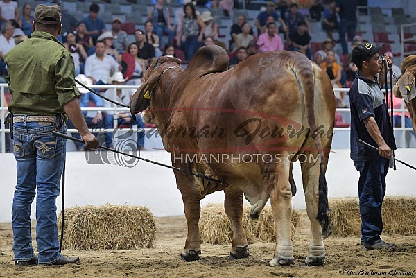 2026 Feria Regional de Tabasco